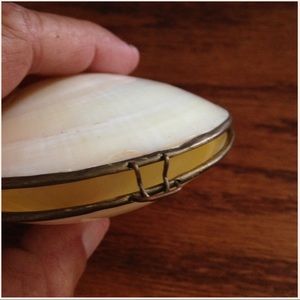 Pretty SHELL Latching Container🌿